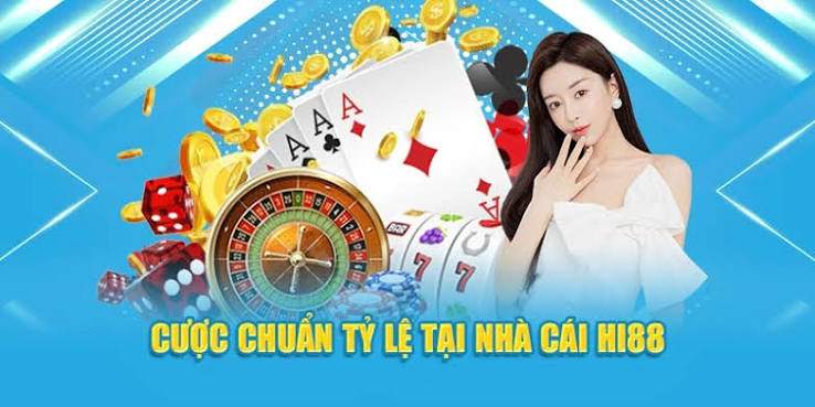 Không gian giải trí trực tuyến với nhiều danh mục hấp dẫn